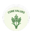 Core Values 1