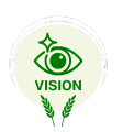 Vision 1